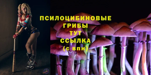 мескалин Бронницы