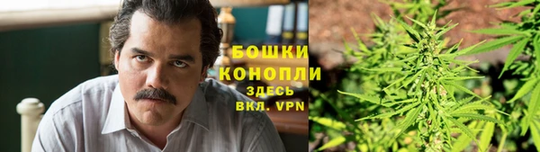 сатива Верхний Тагил