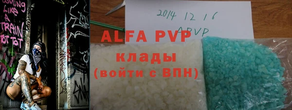 МДПВ Бородино