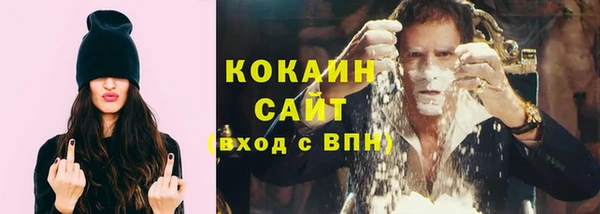 МДПВ Бородино
