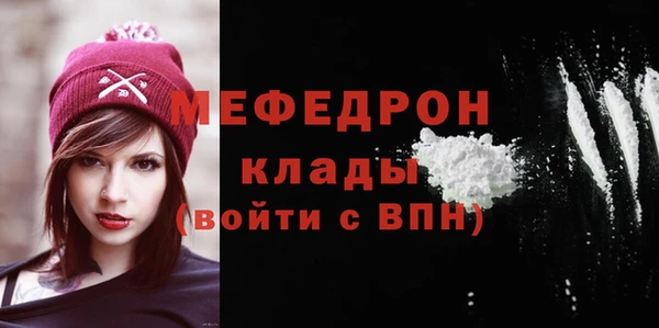 МДПВ Бородино
