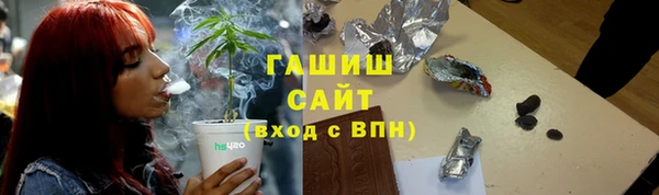 МДПВ Бородино