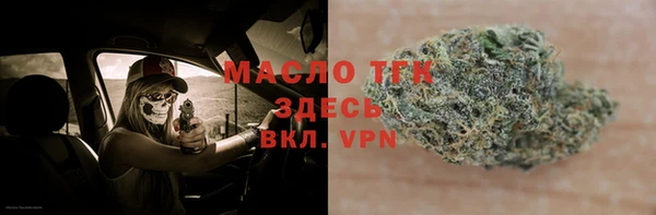 МДПВ Бородино