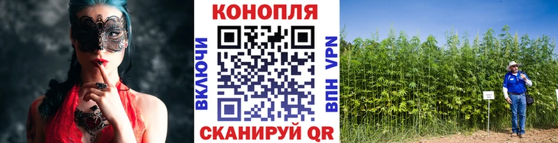 Купить  Куровское  Конопля сатива 